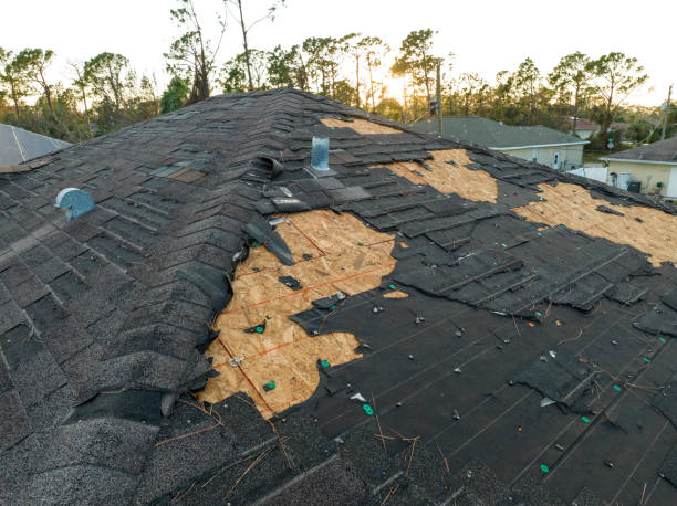 Best Roof Insulation Installation  in Greenville, RI