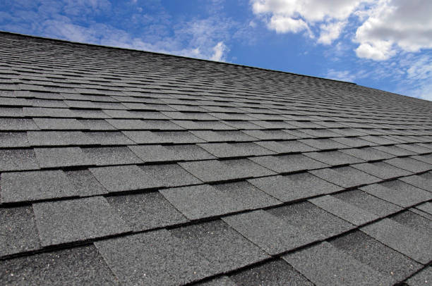 Best Roof Moss and Algae Removal  in Greenville, RI